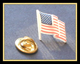 U.S. Flag Lapel Pin (plastic)