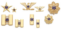 Custom EMS Rank Insignia - pairs