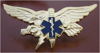 EMS Tactical Paramedic Insignia: Gold finish