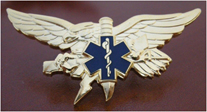 EMS Tactical Paramedic Insignia