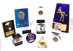 lucite embedments and plaques