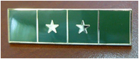 Gold Plate with Green and 2 Stars